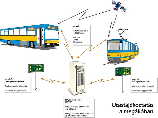 Busz