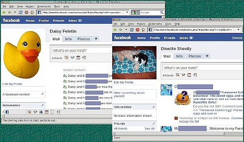 Sophos Facebook felmérés