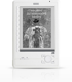e-book