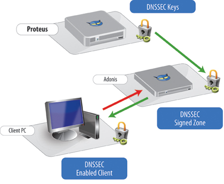 dns