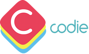 Óriási lehetőség a Codie nevű magyar startupban