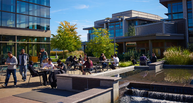 microsoft seattle office treehouse microsoft vagy facebook fizet jobban it caf seattle office interior designs ideas microsoft seattle office treehouse microsoft vagy facebook fizet jobban it caf seattle office interior designs ideas